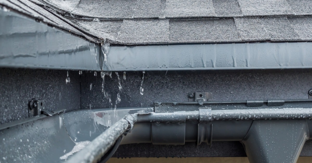 Rainwater drips from the edge of a roof into a clean, gray gutter below. Water covers the shingles, fascia, and gutter.