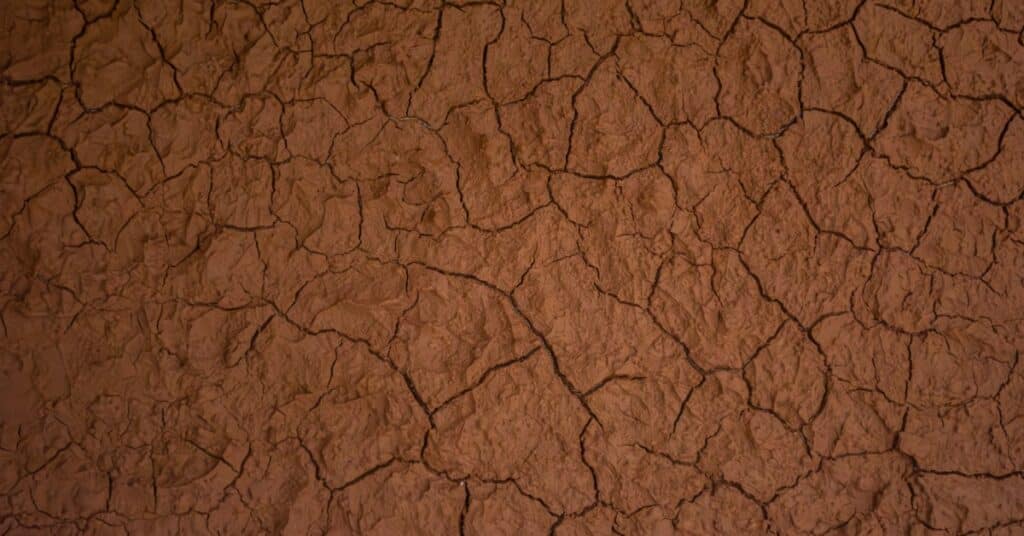 Downward view of cracked clay in shades of rust and dark brown. The cracks split the ground into jagged sections.